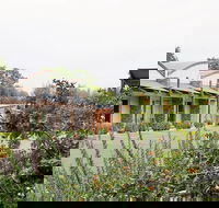 A Must At Coonawarra