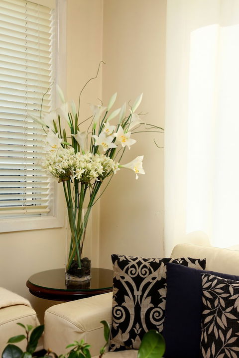 Apartments On The Park - Accommodation Daintree 2