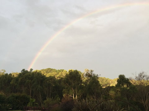 Anderida - Accommodation Daintree 0
