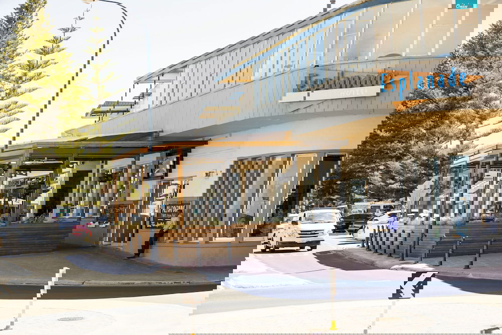 Brighton SA Accommodation Daintree