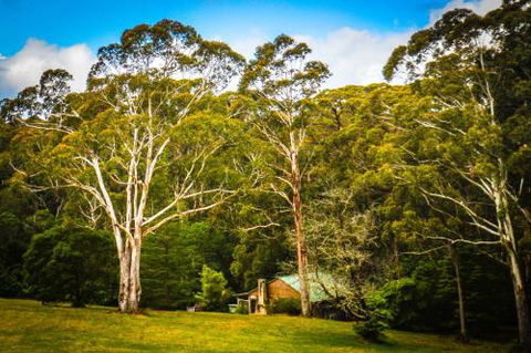 Ghost Hill Road Retreat - Accommodation Daintree 6