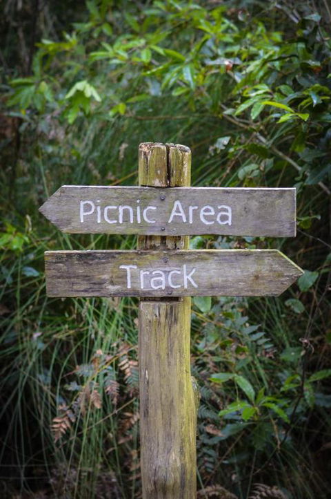 Ghost Hill Road Retreat - Accommodation Daintree 5