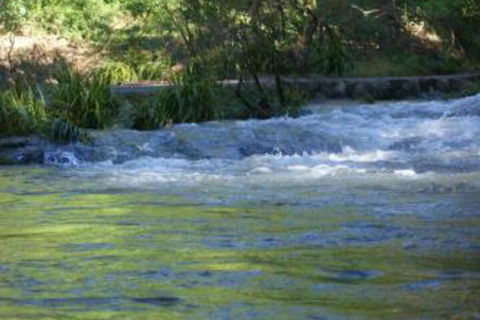 Havans Ecotourist Retreat - Accommodation Daintree 2