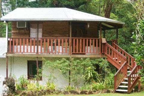 Havans Ecotourist Retreat - Accommodation Daintree 0