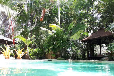 Alaya Escape - Accommodation Daintree 5