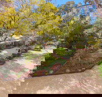 Elizas on the Murray