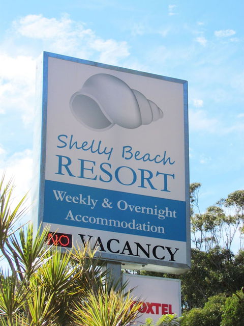 Shelly Beach Resort - Accommodation Daintree 4