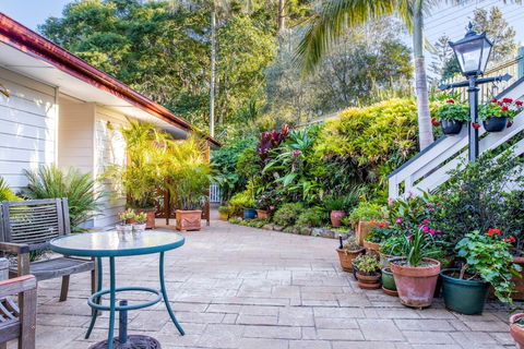 Avocado Sunset B&B - Accommodation Daintree 0