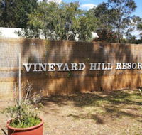 Vineyard Hill