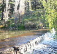 Avocados Accommodation - Accommodation Daintree