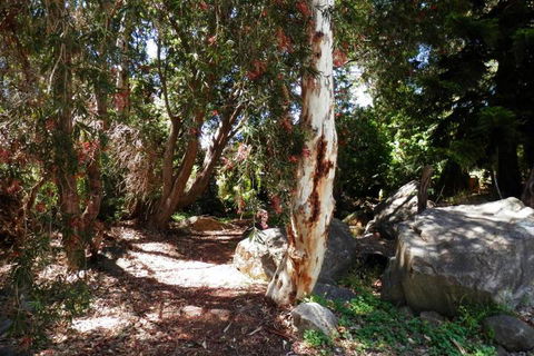 The Hideaway Luxury B & B Retreat - Accommodation Daintree 6