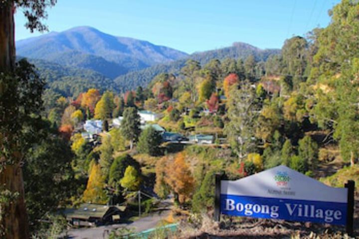 Bogong VIC Accommodation Daintree
