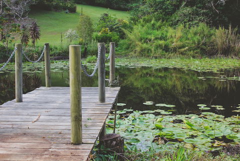 Allara Homestead - Accommodation Daintree 0