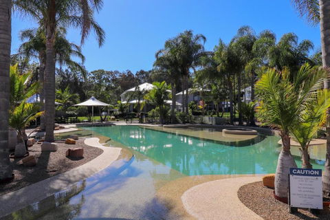 Dollarbird Treetops Townhouse - Accommodation Daintree 1