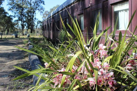 Krinklewood Cottage & Train Carriages - Accommodation Daintree 2