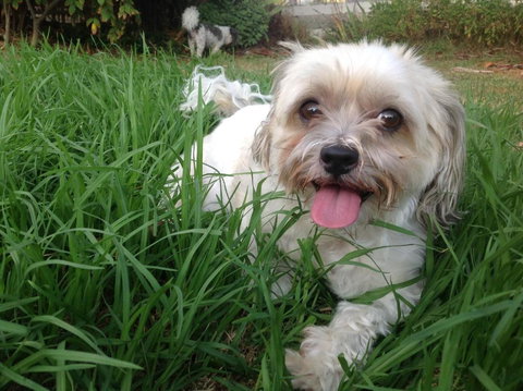 A Country Barn Retreat - Accommodation Daintree 3