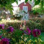 A Country Barn Retreat - Accommodation Daintree 0