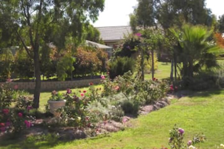 Aberdeen NSW Accommodation Daintree