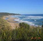 Kismet B  B - Accommodation Daintree