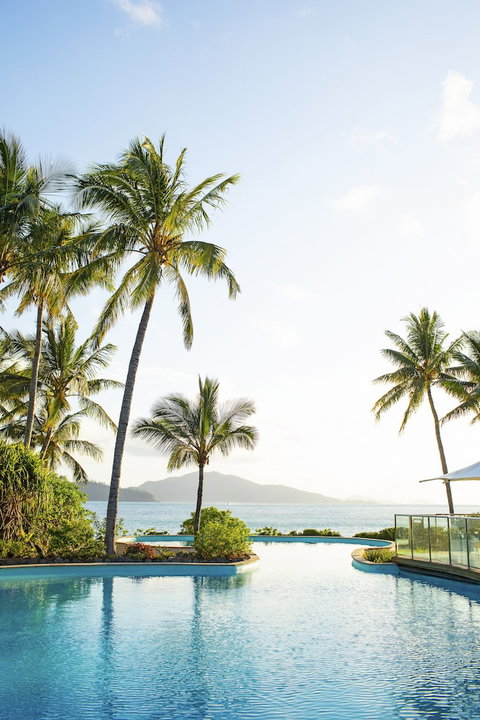 Palm Bungalows - Accommodation Daintree 2
