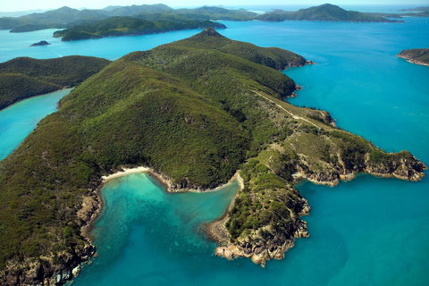 Palm Bungalows - Accommodation Daintree 0