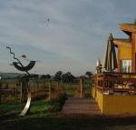 Art at Linden Gate - Accommodation Daintree