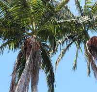 Tri Byron Bay - Accommodation Daintree