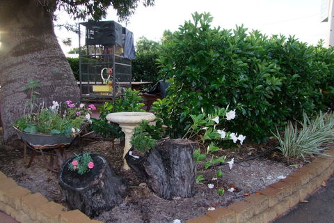 Acacia Motel - Accommodation Daintree 2