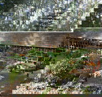 Canadian Pancakes - Accommodation Daintree