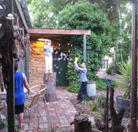 Pratty's Patch - Accommodation Daintree