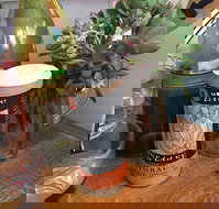 The Craft  Co Farm - Accommodation Daintree