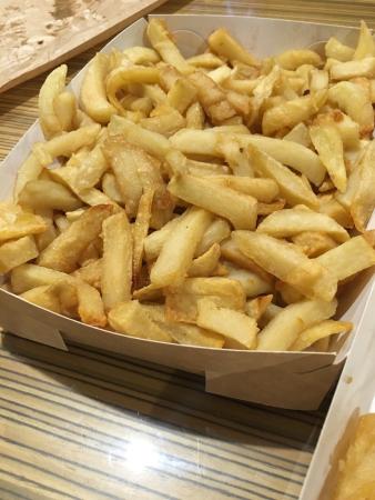 Albury NSW Accommodation Daintree