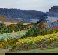 De Bortoli Winery  Restaurant - Accommodation Daintree