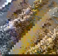 Horsham Masala Indian Restaurant - Accommodation Daintree