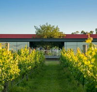 Oakridge Wines - Accommodation Daintree