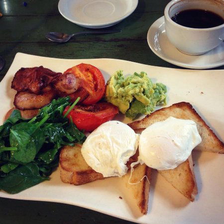 Mornington VIC Accommodation Daintree