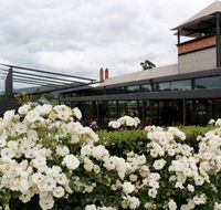 Isabella's Restaurant at Rochford Wines - Accommodation Daintree