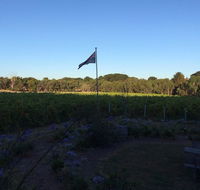 Lazzar Wines - Accommodation Daintree