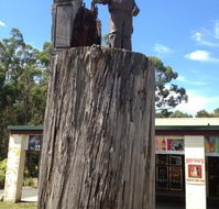 The Sam Knott Hotel Bistro - Accommodation Daintree