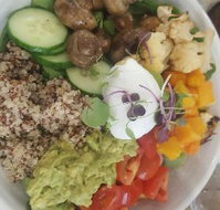 Little Miss Hangry - Accommodation Daintree