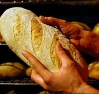 Red Beard Historic Bakery - Accommodation Daintree