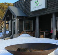 The Village Restaurant - Accommodation Daintree