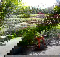 Sandstone Cafe - Accommodation Daintree