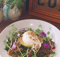 The Shak Organic Cafe  Wine Bar - Accommodation Daintree