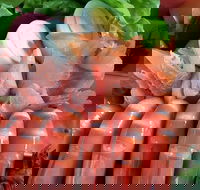 The Boat Shed - Accommodation Daintree