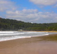 See Lion Kiosk Umina Beach - Accommodation Daintree