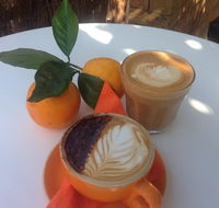 The Orange Tree - licensed cafe by the river - Accommodation Daintree