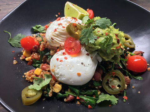 The Farm Wholefoods Potts Point - Accommodation Daintree 0