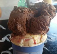Windsor Ice Cream Cafe - Accommodation Daintree