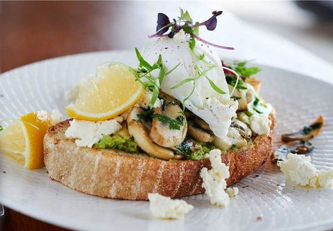 Albert & Moore - Accommodation Daintree 0